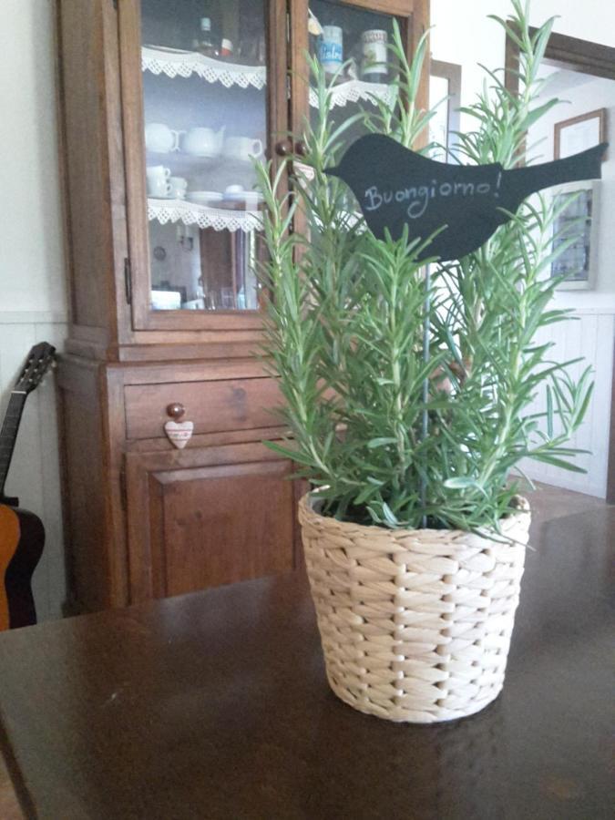 Agriturismo Cioccoleta Orvieto Eksteriør billede