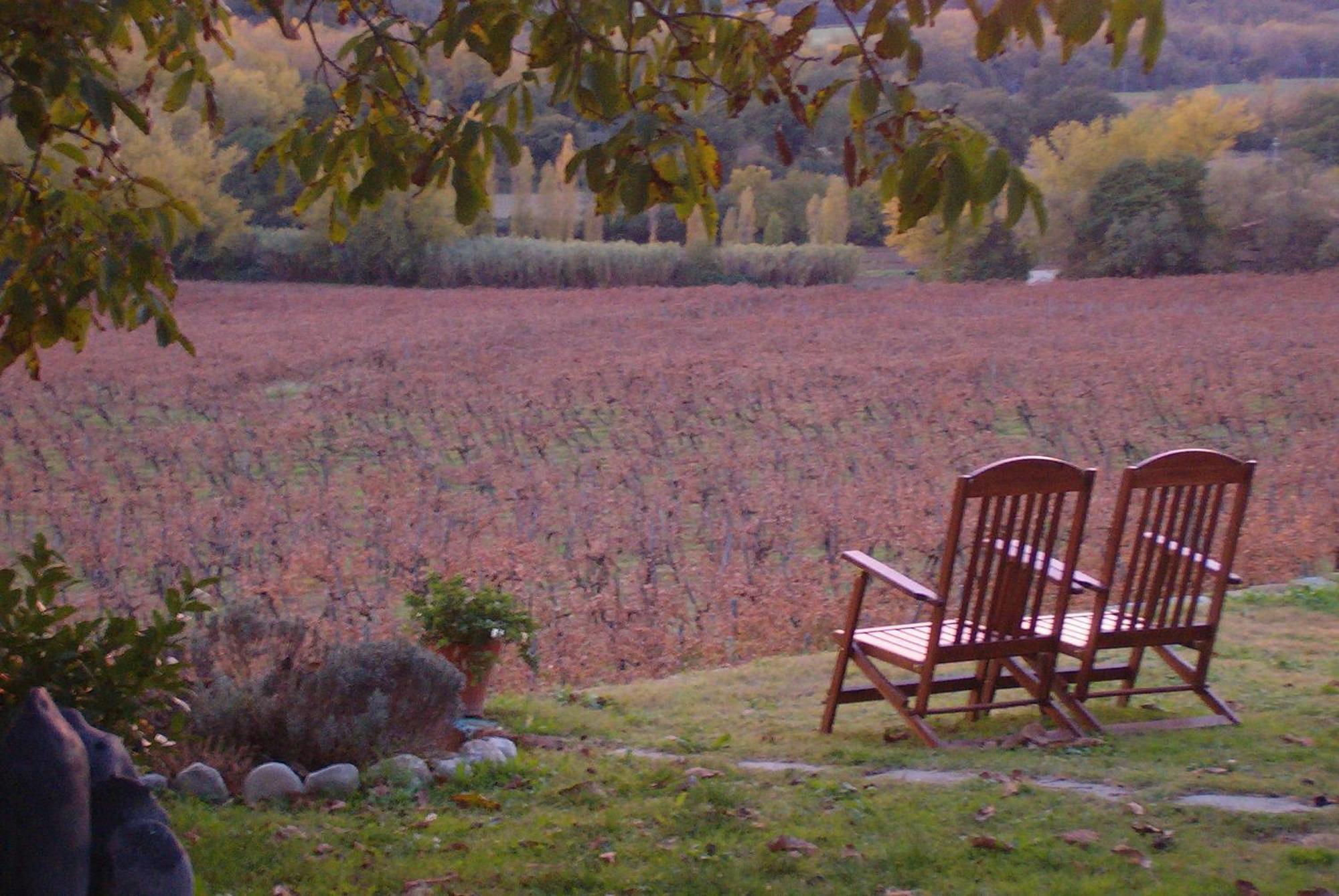 Agriturismo Cioccoleta Orvieto Eksteriør billede