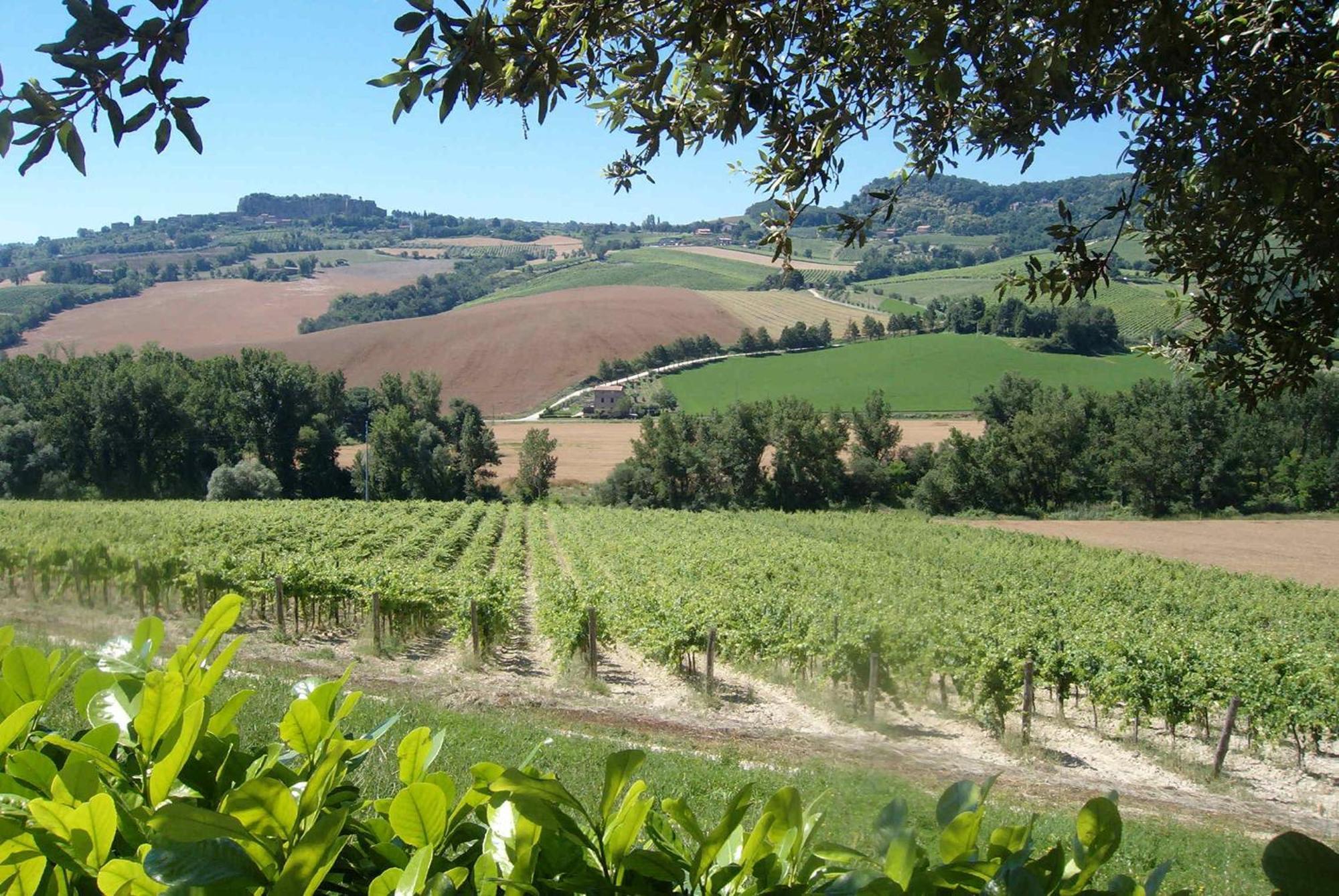 Agriturismo Cioccoleta Orvieto Eksteriør billede
