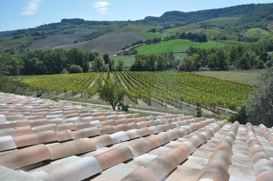 Agriturismo Cioccoleta Orvieto Eksteriør billede